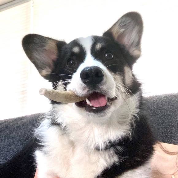 Meet your Posher, Shannon - Picture 1 of 1